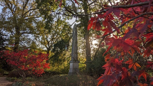 A stone obelisk behind red leaves with sunlight shining through